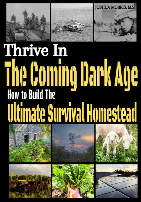 Thrive in the Coming Dark Age: How to Build the Ultimate Survival