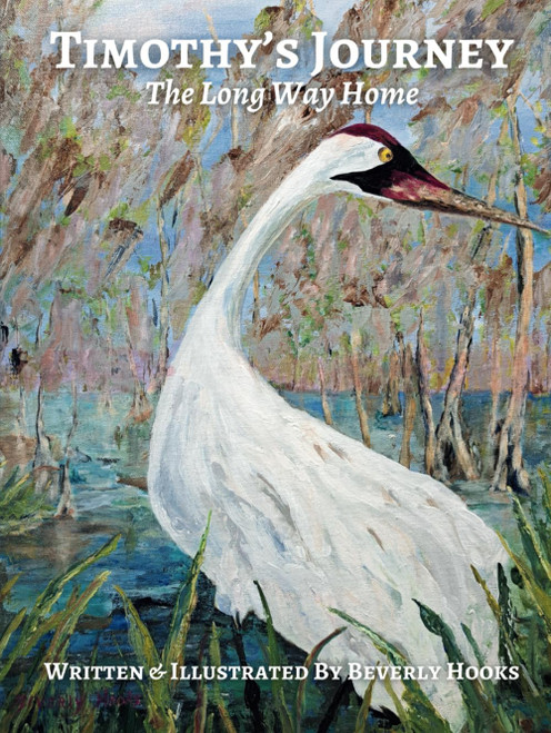 Timothy's Journey: The Long Way Home