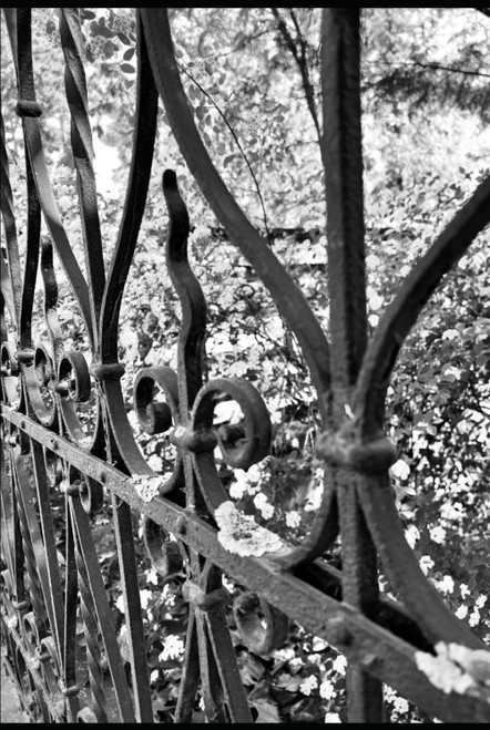 Refining Rust: For the Underdog Who Doesn't Know How to Start