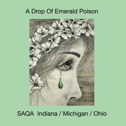 A Drop Of Emerald Poison: SAQA Indiana / Michigan / Ohio