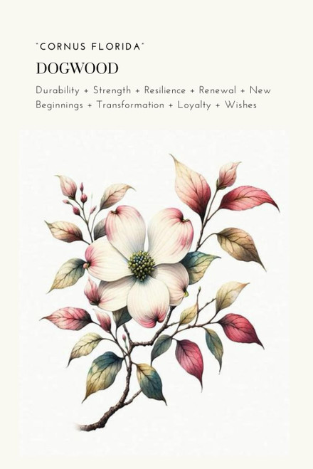 Dogwood Flower Journal: Plant and Medicinal Symbolism