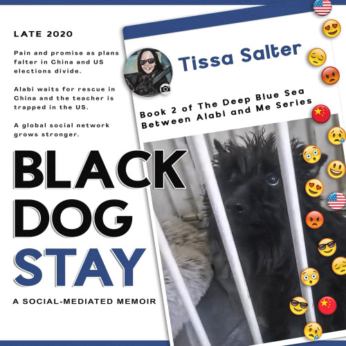 Black Dog Stay: a Social-Mediated Memoir