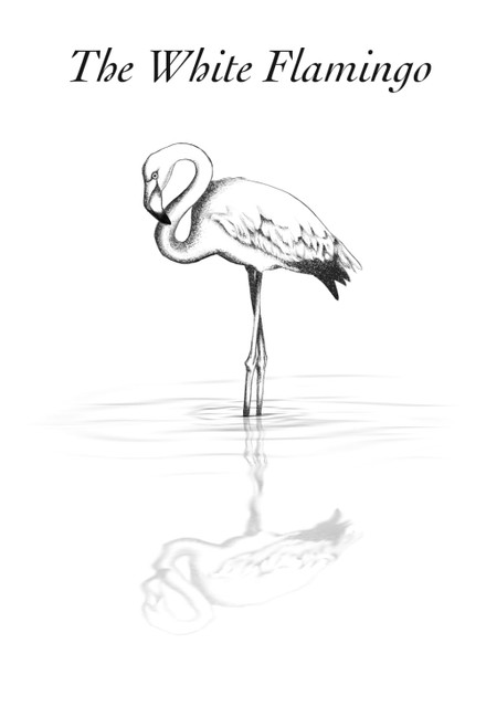The White Flamingo