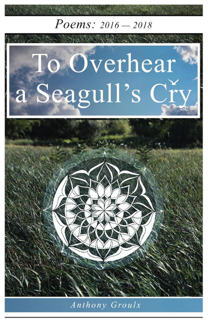 To Overhear a Seagull's Cry
