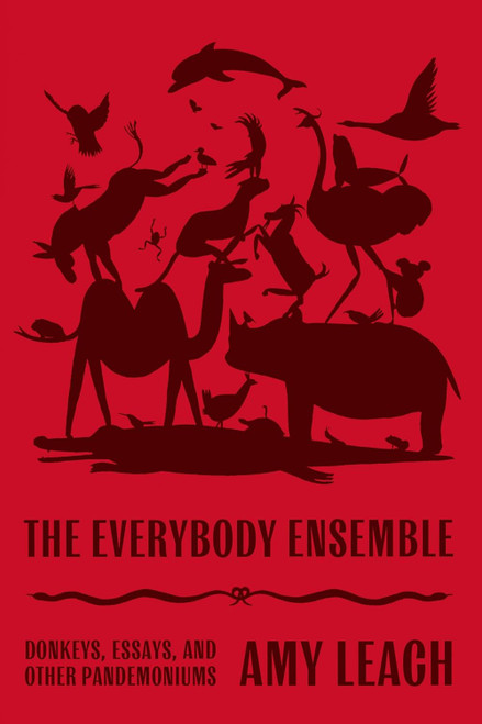 The Everybody Ensemble: Donkeys Essays and Other Pandemoniums