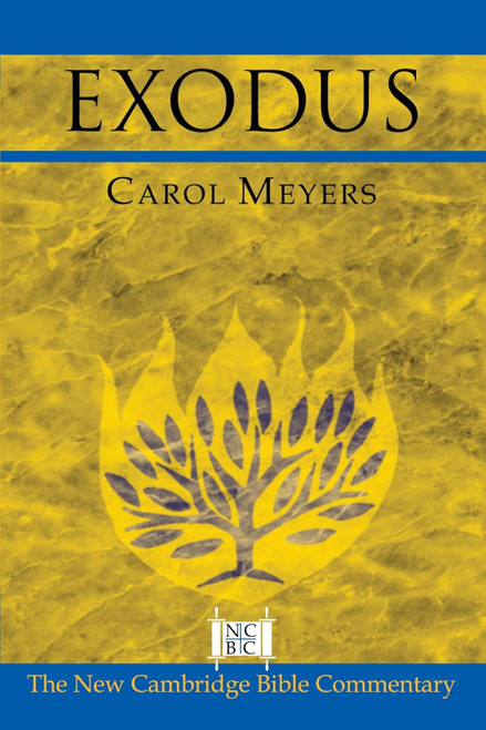 Exodus (New Cambridge Bible Commentary)