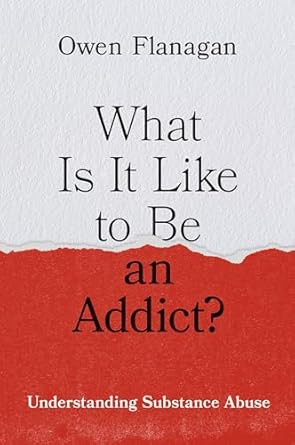 What Is It Like to Be an Addict?