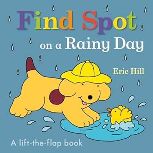 Find Spot on a Rainy Day
