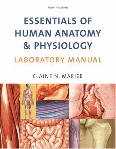 Essentials of Human Anatomy and Physiology Laboratory Manual by Elaine ...