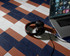 Living Effetto Cementine 20.5x20.5 Quadra 11