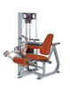 RAPTOR P-5500 Dual Leg Extension/Leg Curl