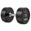 Premium Urethane Round Dumbbell - Pair 1