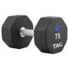 8-Sided Pro-Style Rubber Dumbells 39