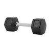 Hex Rubber Dumbbell 6