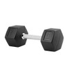 Hex Rubber Dumbbell 9