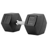Hex Rubber Dumbbell 10