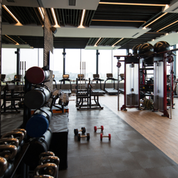 The Truth About Commercial Gym Equipment Brands 