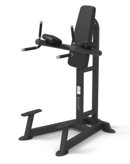 Spirit Fitness Vertical Leg Raise/Dip at a commercial gym.