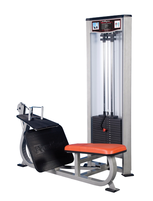 RAPTOR P-4200 Seated Cable Row