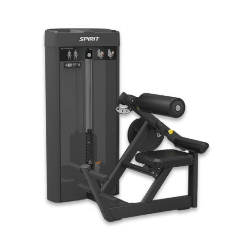spirit fitness back extension