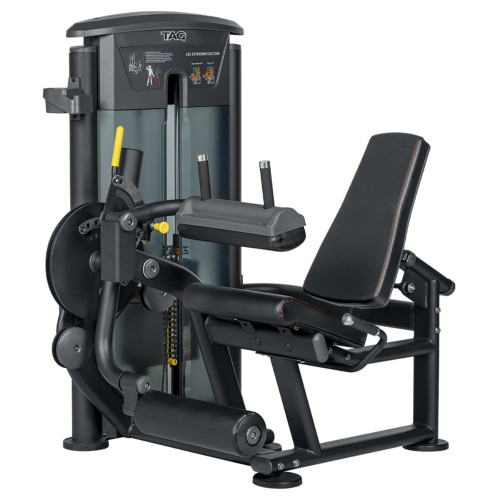 Elite Leg Ext / Curl Dual Select 