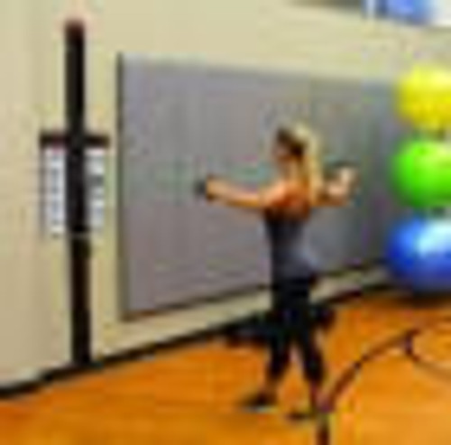 Prism Fitness SMART RESISTANCE WALL GYM & CABLE CADDY  Prism Fitness SMART RESISTANCE WALL GYM & CABLE CADDY