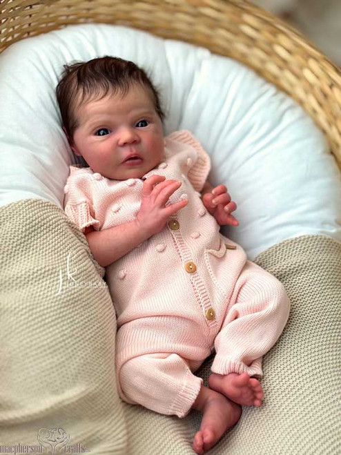 Kit Mayven by Viviane Aleluia Kit Mayven by Viviane Aleluia