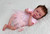 Kit Maitte by Priscila Lopez 2nd Edition