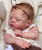Pre-Order Kit Little Bear by Beatriz Clemente