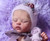 Pre-Order Kit Little Bear by Beatriz Clemente