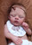 Pre-Order Kit Little Bear by Beatriz Clemente