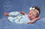 Pre-Order Kit Little Bear by Beatriz Clemente