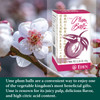 Eden Ume Plum Balls, Ume Plum Concentrate and Jinenjo Wild Mountain Yam, 300 Quarter Gram Balls, 2.28 oz