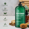 Botanic Hearth Peppermint Hair Conditioner | Hair Conditioner For Dry Damaged And Color Treated Hair | Volumizing Conditioner For Fine & Thin Hair |