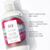 R+Co Television Perfect Hair Conditioner | Shine + Strengthening + Softening for All Hair Types | Vegan + Cruelty-Free | 8.5 Oz