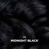 Clairol Professional Beautiful Collection Advanced Gray Solutions, 1A Midnight Black, 3 oz. - Packaging May Vary