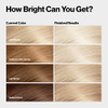 Revlon Color Effects Permanent Highlighting Kit, Ammonia & Paraben Free Hair Dye, 60 Platinum, 8 Oz (Pack of 1)