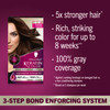 Schwarzkopf Keratin Permanent Hair Dye Cream, 4.6 Intense Cocoa, Professional Quality Color for Up to 100% Gray Coverage, Bond Enforcing System