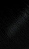 #88 Blue Black Bigen Permanent Powder (3 Pack)