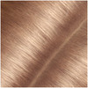 Garnier Hair Color Express Retouch Gray Hair Concealer, Instant Gray Coverage, Dark Blonde, 0.34 Fl Oz