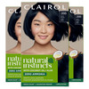Clairol Natural Instincts Demi-Permanent Hair Dye, 2BB Blue Black Hair Color, Pack of 3