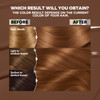 Garnier Hair Color Nutrisse Ultra Color Nourishing Creme, B4 Golden Mahogany Brown (Caramel Chocolate) Permanent Hair Dye, 2 Count (Packaging May Var