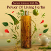 VEDA Active Herbs Hair Oil | Hair Growth Oil | Infused with Herbs | 200ml