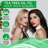 Tea Tree Oil Hair Serum - Moisturizer Treatment for Fighting Dandruff and Repair Dry, Damaged Hair and Itchy Scalp - Care and Styling Products for Wo