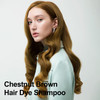 Chestnut Brown Hair Dye 16.9 Fl Oz, Argan Oil Hair Shampoo, 3 in 1 Hair Dye Shampoo, Easy To Use, Semi-Permanent Hair Color Shampoo (Chestnut Brown)