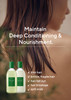 AROMATICA Rosemary Scalp Scaling Shampoo and Conditioner Set 13.53 fl.oz each  Vegan Korean Hair Care Gift Set for Woman with Rosemary Oil. Sulfate