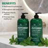 Botanic Hearth Peppermint Oil Shampoo And Conditioner Set | Hair Blooming Formula With Keratin | Fights Hair Loss | Sulfate Free For Men And Women |