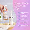 Tree To Tub Lavender Shampoo and Conditioner Set for Dry Hair, Dry Scalp, Frizz - Moisturizing Argan Oil Shampoo and Conditioner for Women & Men w/Or