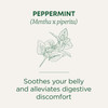 Traditional Medicinals Organic, Peppermint Tea - Helps Soothe Belly from Occasional Gas and Bloating - Kosher, Non-GMO, Caffeine-Free, Compostable -