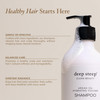 Deep Steep Argan Oil Hydrating Volume Shampoo, 17 oz  Volumizing Shampoo with Argan Oil, Aloe, Marula Oil & Rice Protein  Sulfate-Free, Vegan, Clea